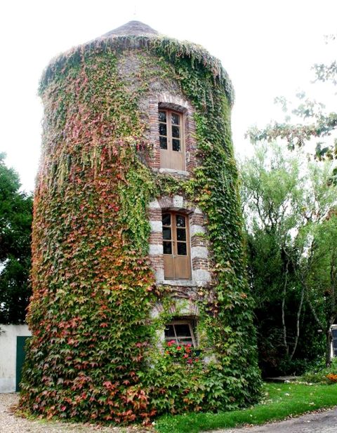 Courtenay (45) Château de Vaulxfin, pigeonnier