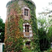 Courtenay (45) Château de Vaulxfin, pigeonnier