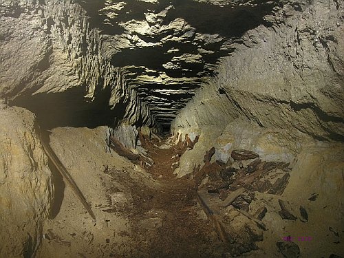 Craonnelle (Aisne) Tranchée 