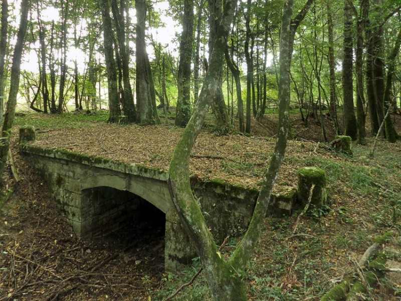 Crux-la-Ville (Nièvre) La rigole d'Aron