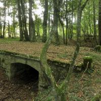 La rigole d'Aron