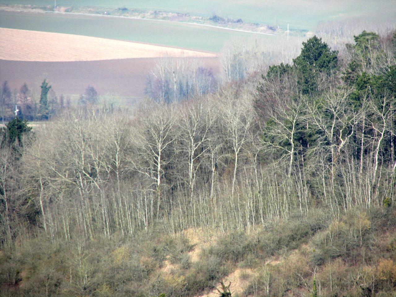 Cuissy-et-Gény (Aisne) Vue générale en 2009