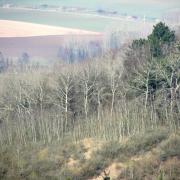 Cuissy-et-Gény (Aisne) Vue générale en 2009