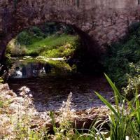 Dhuys et morin en brie 02 la celle sous montmirail le pont du luart