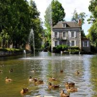 Le Moulin de l'Ile, l'huilerie