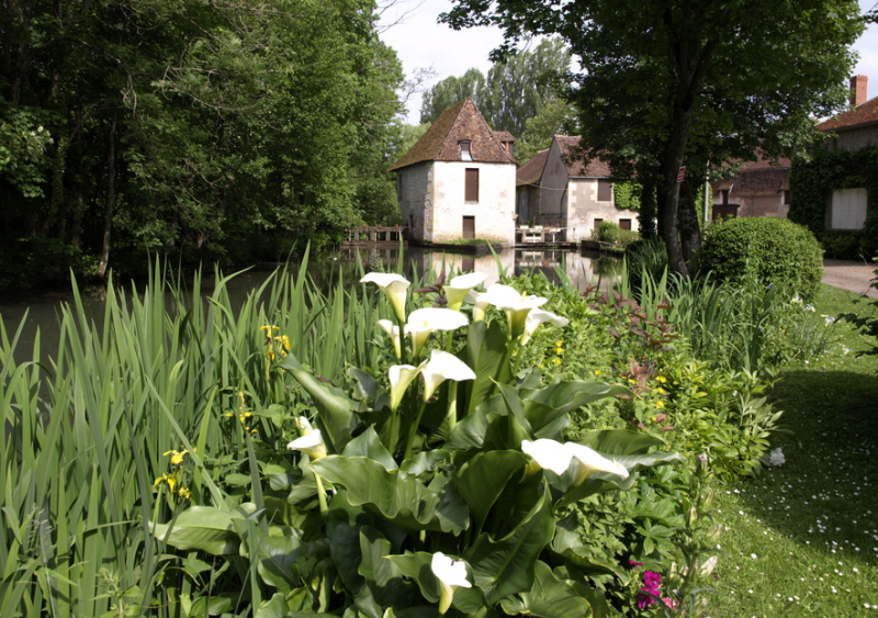 Donzy (Nièvre) Le Moulin du Commandeur