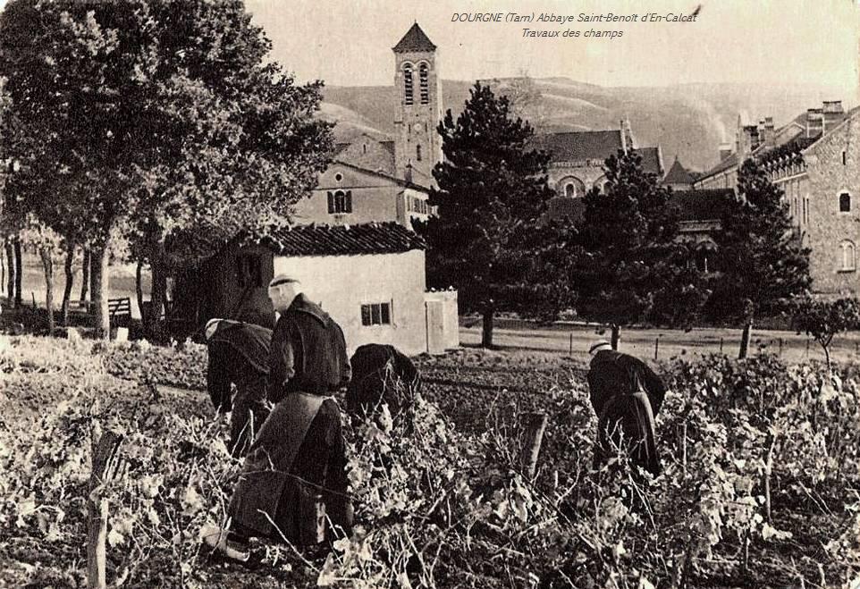 Dourgne (Tarn) CPA Abbaye Saint Benoit d'En-Calcat, moines au travail