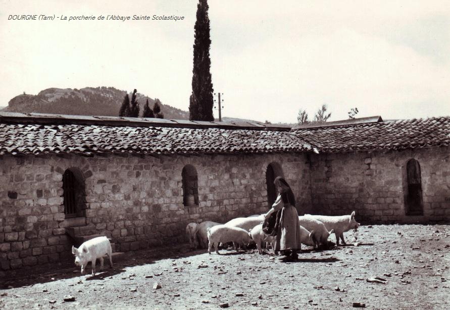 Dourgne (Tarn) CPA Abbaye Saint Scholastique d'En-Calcat, porcherie