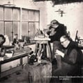 Saint-Benoit, les ateliers, cpa