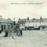Fauville en caux seine maritime place du marche cpa