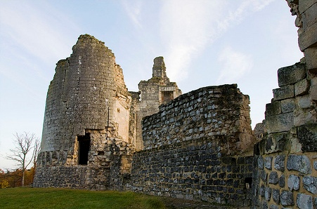 Fère-en-Tardenois (Aisne) le château