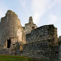 Fère-en-Tardenois (Aisne) le château