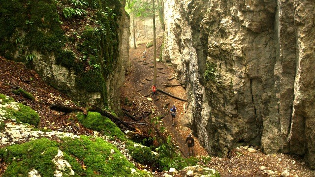 Ferrette 68 le chemin menant a la grotte des nains