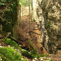 Ferrette 68 le chemin menant a la grotte des nains