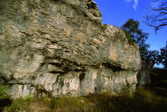 Fleurey-sur-Ouche (Côte d'Or) Abri sous roches d'Orgère