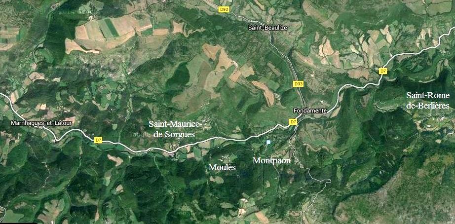 Google map