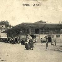 Halle, cpa