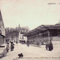 Halle, cpa 