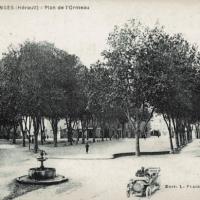 Plan de l' Ormeau, cpa