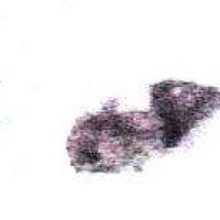 Anne Marie George (1686/1767) épouse Michel Simon