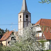 Gougenheim 67 l eglise saint-laurent