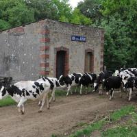 Han-lès-Juvigny (Meuse) L'ancienne gare
