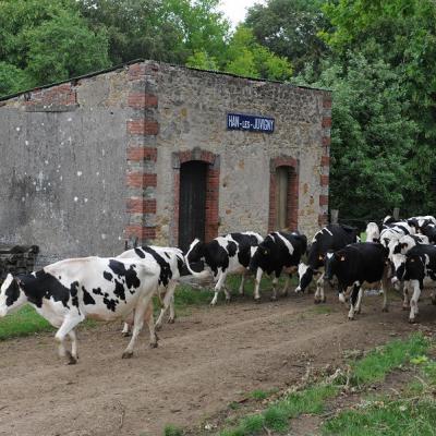 Han-lès-Juvigny (55)