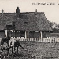 Hericourt en caux seine maritime cpa