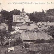 Hericourt en caux seine maritime vue generale 1905 cpa