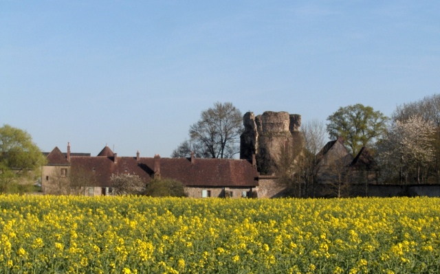 Jaudrais (28) Le donjon du château CPA