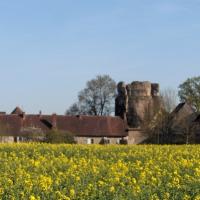 Le donjon du château CPA