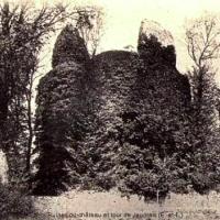 Les ruines du château CPA