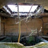 Juvigny-sur-Loison (Meuse) Un lavoir
