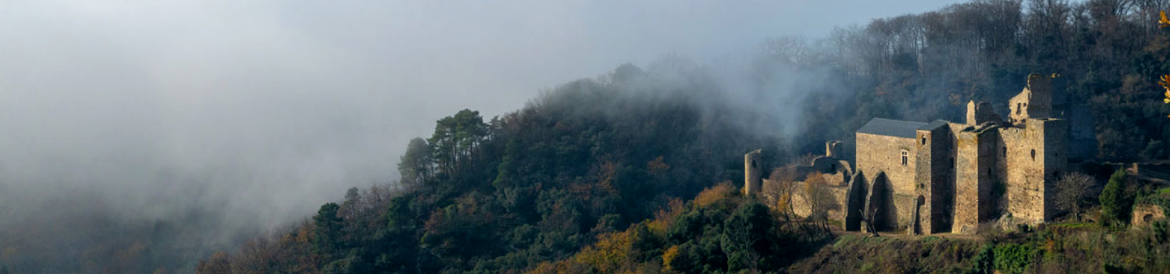Panoramique
