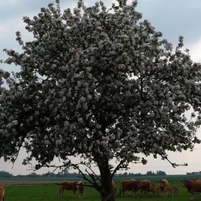La Chapelle-sur-Chézy (02)