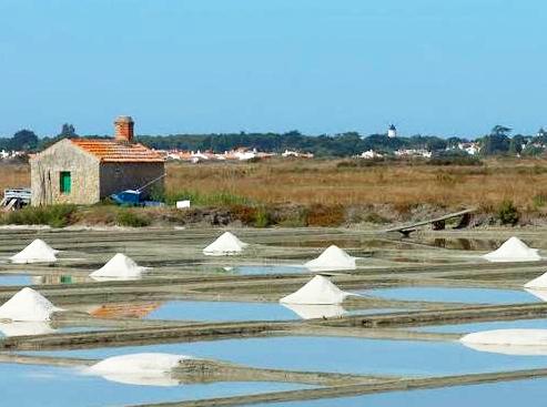 La Guérinière (Vendée) Marais salant