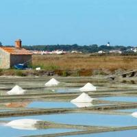 La Guérinière (Vendée) Marais salant