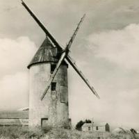 La Guérinière (Vendée) Moulin d'amour CPA