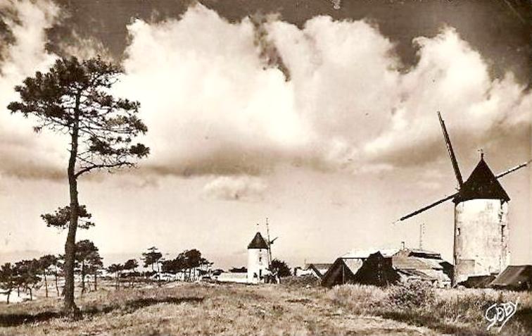 La Guérinière (Vendée) Moulins CPA