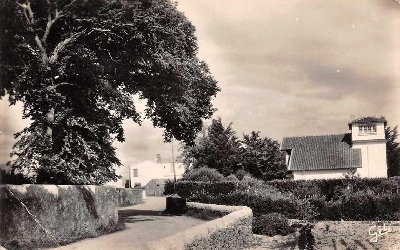 La Guérinière (Vendée) Une rue CPA