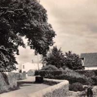 La Guérinière (Vendée) Une rue CPA