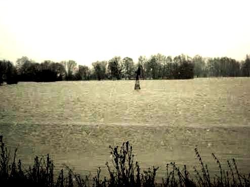 Laneuville sur meuse meuse une crue de la meuse en 2014