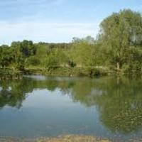 Lavilletertre oise etang