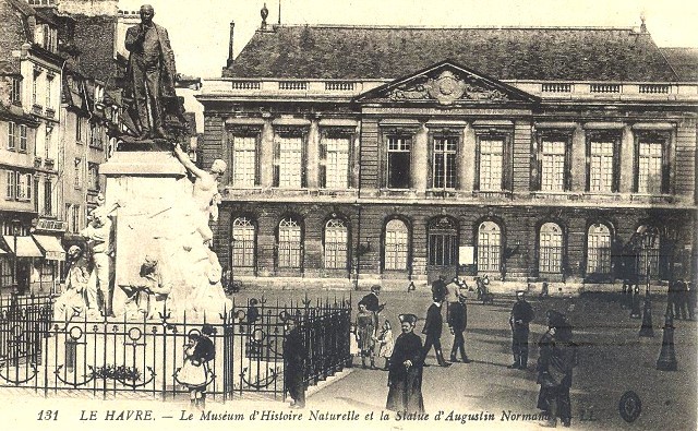 Le havre seine maritime le museum d histoire naturelle cpa