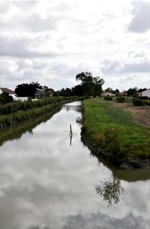 Le Perrier (Vendée) Le marais