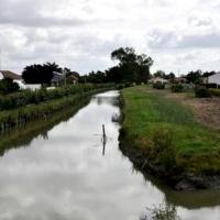Le Perrier (Vendée) Le marais