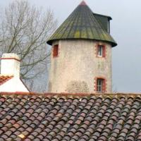 Le Perrier (Vendée) Le moulin des Loires