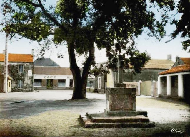 Le Perrier (Vendée) Place du marché CPA