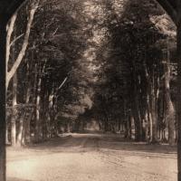 L'allée du Sacré-Coeur CPA