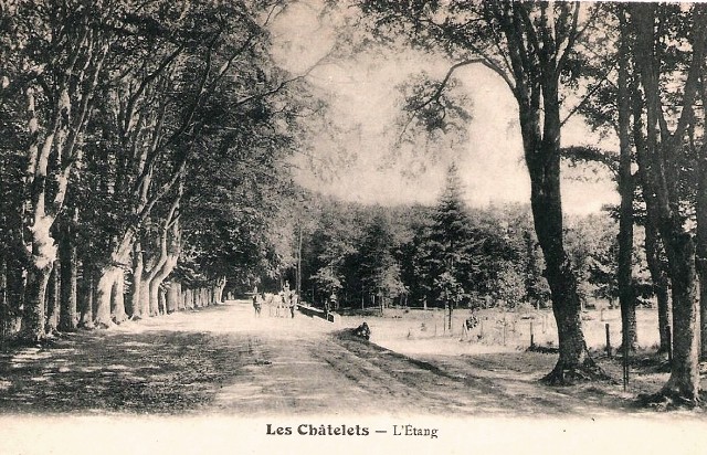 Les Châtelets (28) L'étang CPA